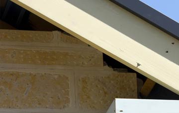 soffit repair Dalmuir
